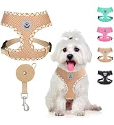 BINGPET Adjustable Dog Vest Harness and Leash Set,No Pull &amp; No Choke Reflective Dog Harness with ...