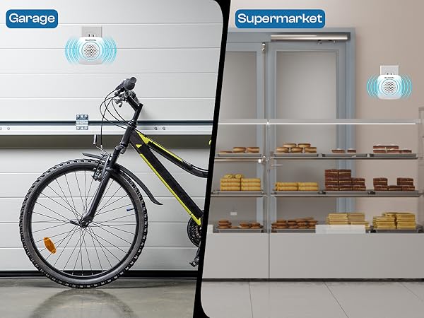 Garage and Supermarket