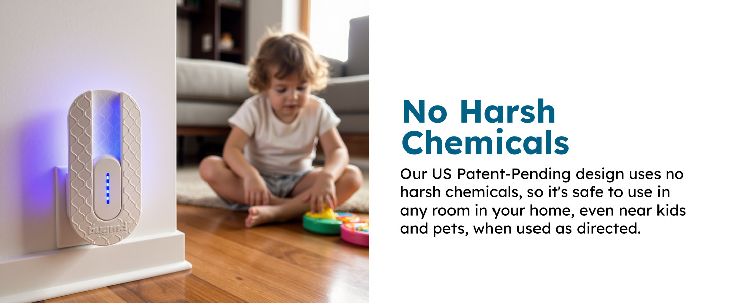 raid repellent fruit control atrapa moscas para interiores anti dynatrap vevo infestation refill