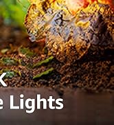 SUNVIE 12W Low Voltage LED Landscape Lights with Connectors, Outdoor 12V Super Warm White (900LM)...