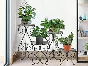Corner