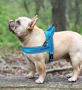 Didog Soft Flannel Padded Dog Vest Harness, No Pull/Quick Fit Reflective Dog Strap Harness, Easy ...