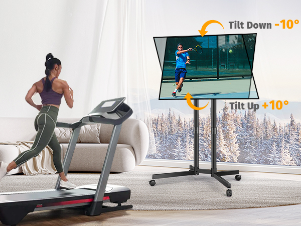 Mobile TV Stand
