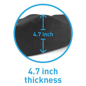 Seat Cushion