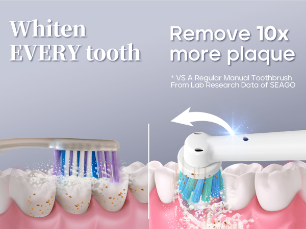 whiten every tooth rotate, wrap, clean