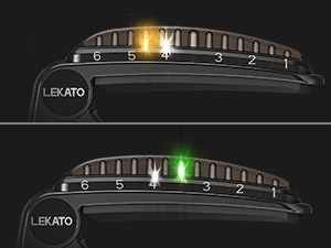 2 in 1 guitar capo tuner