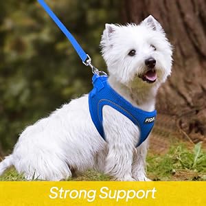 support