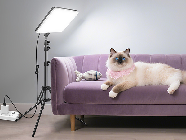 Photo Light