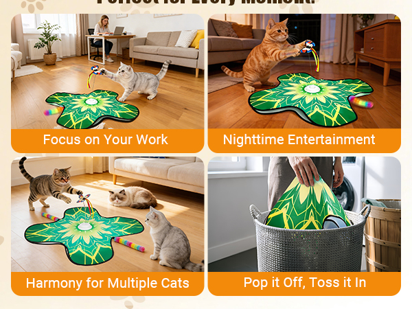 interactive cat toys for indoor cats