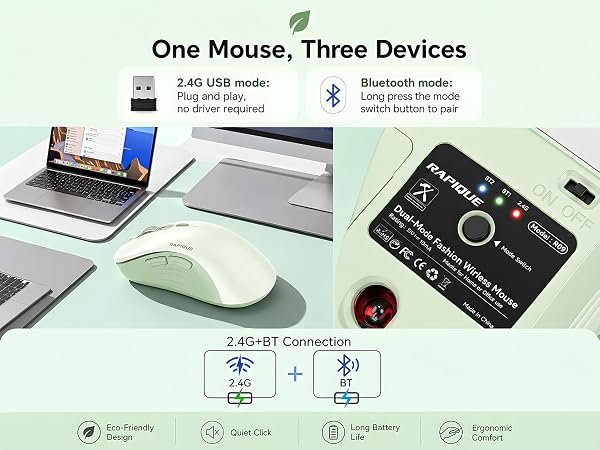 R09 mouse