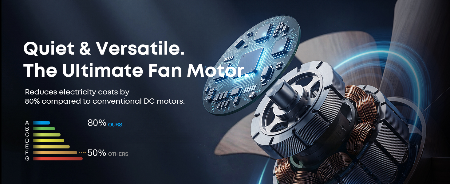 Caged Ceiling Fan with Light and Remote