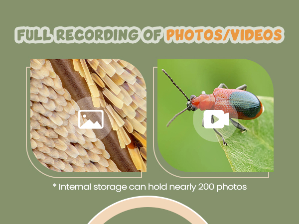 Digital Microscope for Kids