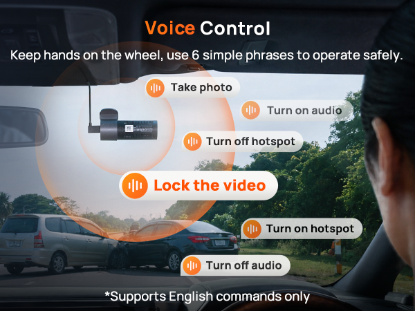 Voice Control