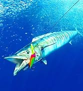 black fishing leaders