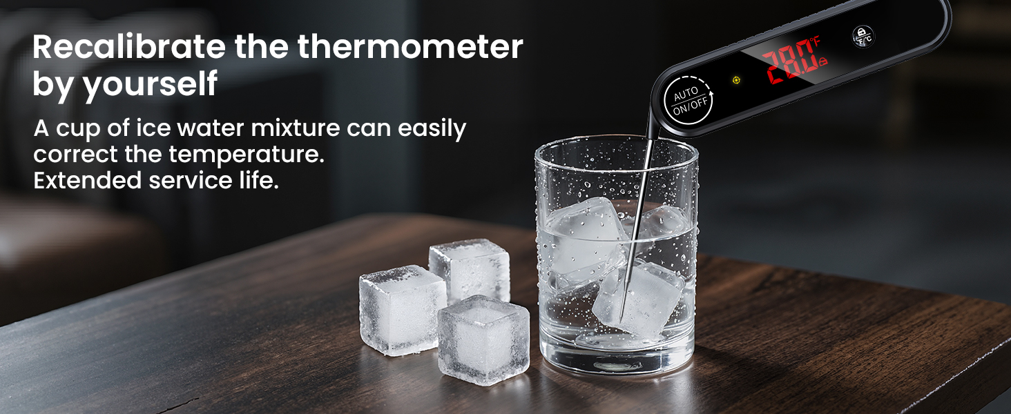 meat thermometer