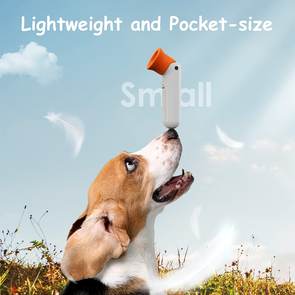 https://img1.tongtool.com/s/PNPQWPVUNRPRUMPUNQPVWRPSPSRPYUQRYVPPO5b2i.jpg