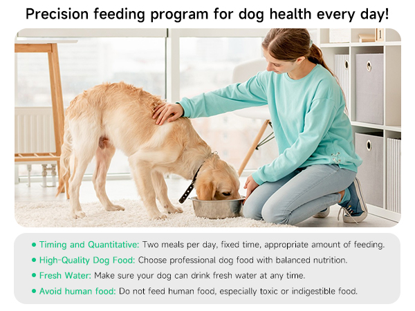 Dog Feeding Reminder, Magnetic Reminder Sticker, AM/PM Daily Indication Chart Feed/Walk Your Pets
