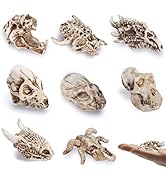 Bbiamsleep 8 Pcs 2.3 Inch Animal Skulls Figurine Resin Mini Skulls Dinosaur Alien Animal Skulls D...