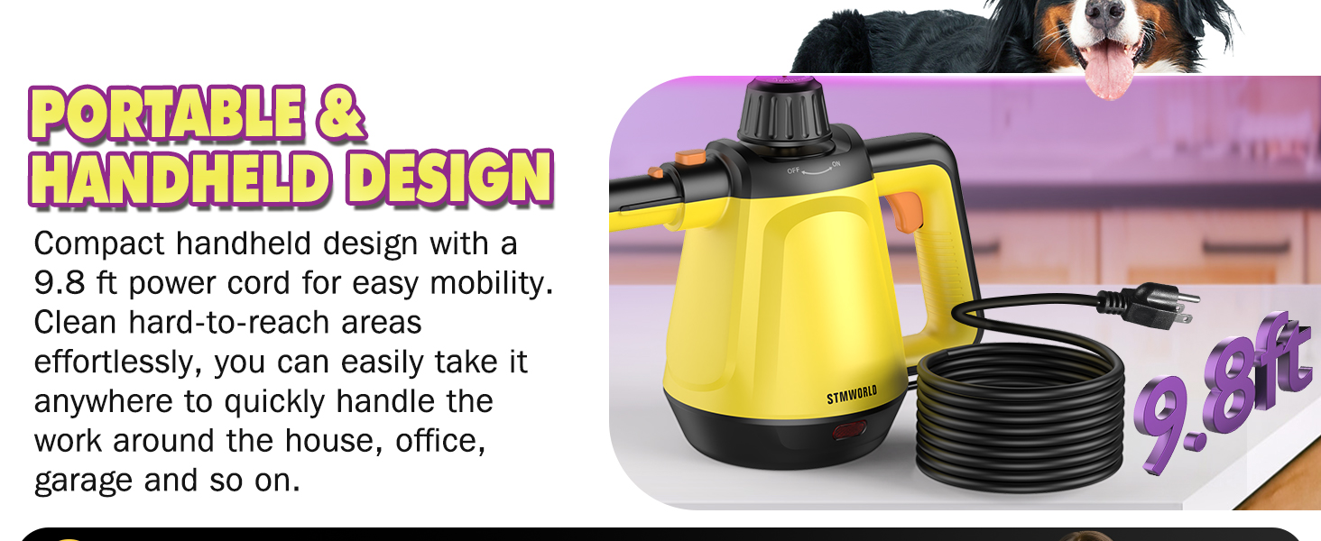 steamer for cleaning