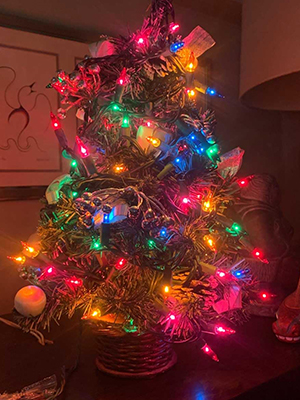 multicolor christmas tree lights