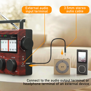 AUX Audio Input
