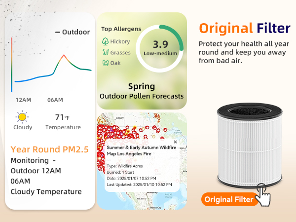 air purifier large room