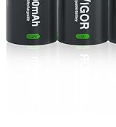 Rechargeable D Batteries