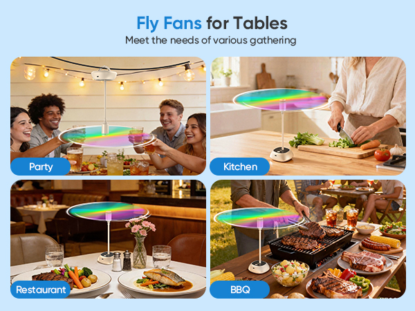 fly fans for tables