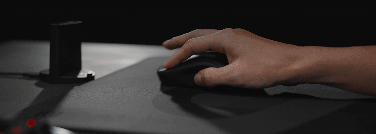 BenQ Zowie U2 Wireless Gaming Mouse