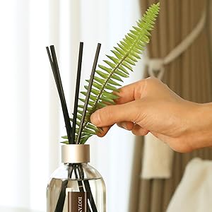 agua jasmine the color or it basil lolac baby black oz therapist cactus odor plantas decoracion