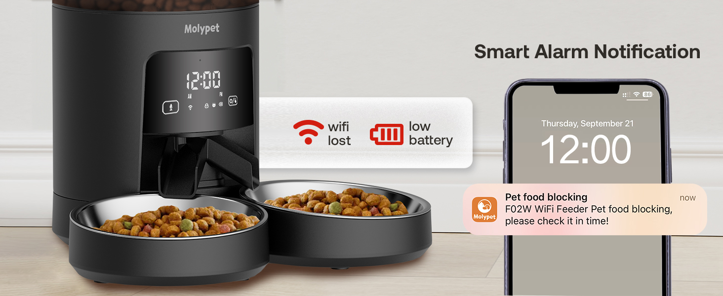 automatic cat food dispenser