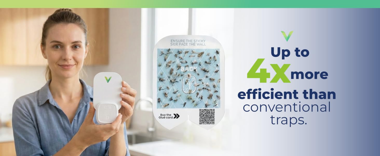 Refill Fly Traps