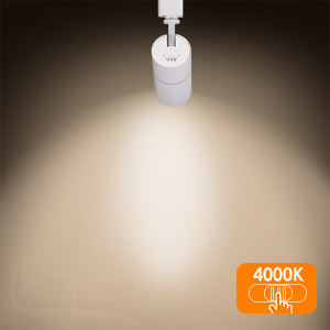 h type track lighting heads 3000K
