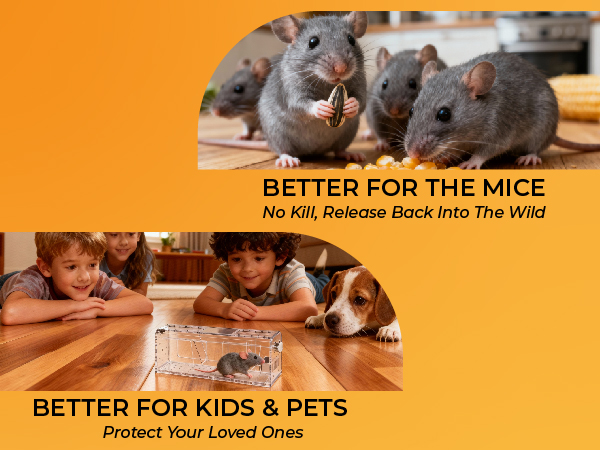 humane mice traps for indoor