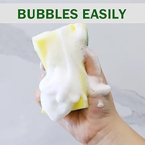 dish sponge