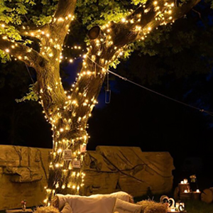 tree lights