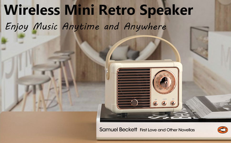 portable wireless speaker