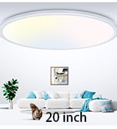 zemty 20 inch LED Flush Mount Ceiling Light, 50W 5000lm Large Light Fixture, 3 Color Temperature ...
