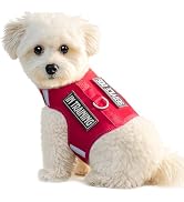 Sunraymascota Dog Harness for Puppy – Adjustable Reflective Easy Put On Soft Mesh Vest for Small ...