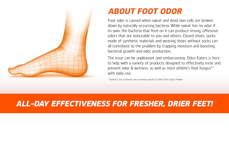 Family of OE products and information about food odor