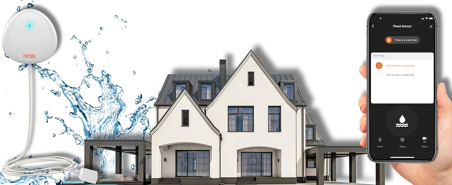 Water Sensor Alarm Leak Detector 