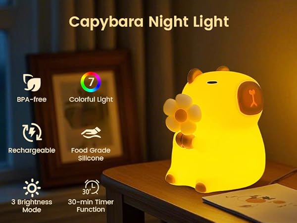 Night Light
