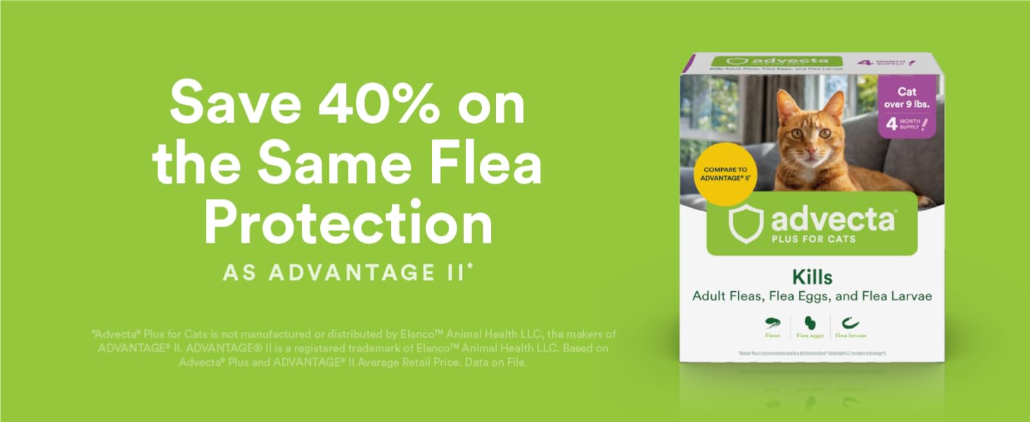 Save 40% on flea protection