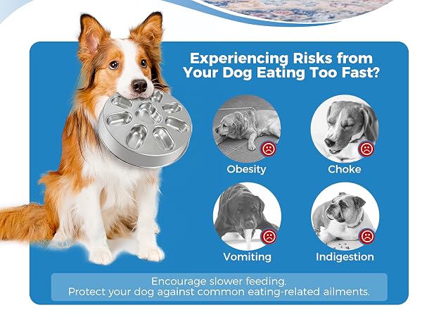 slow feeder dog bowls