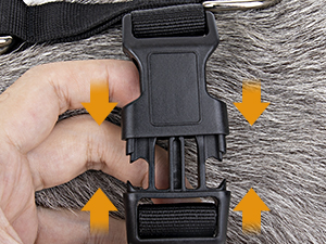 dog harness