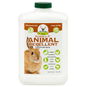 skunk racoon squirrel rodent outdoor repels animal deer keep critter rabbit garden raccoon predator
