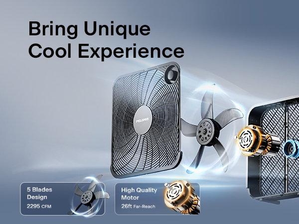 Unique Cool Experience