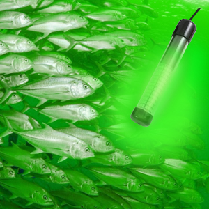 led fishing lights