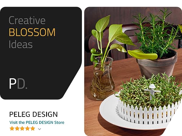 Kitchen and home accessories for daily use