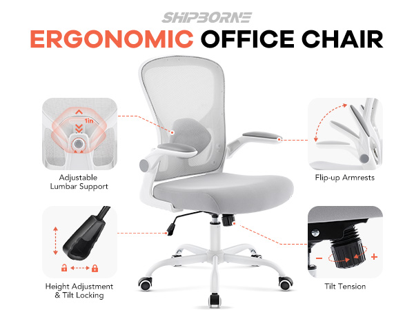 Ergonomic Office Chair